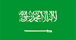 Saudi Riyal icon